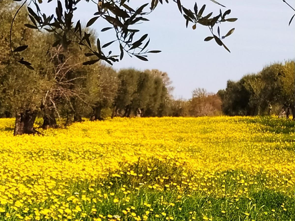 Masseria - Trulli Genius Loci Dimore Monopoli Kültér fotó