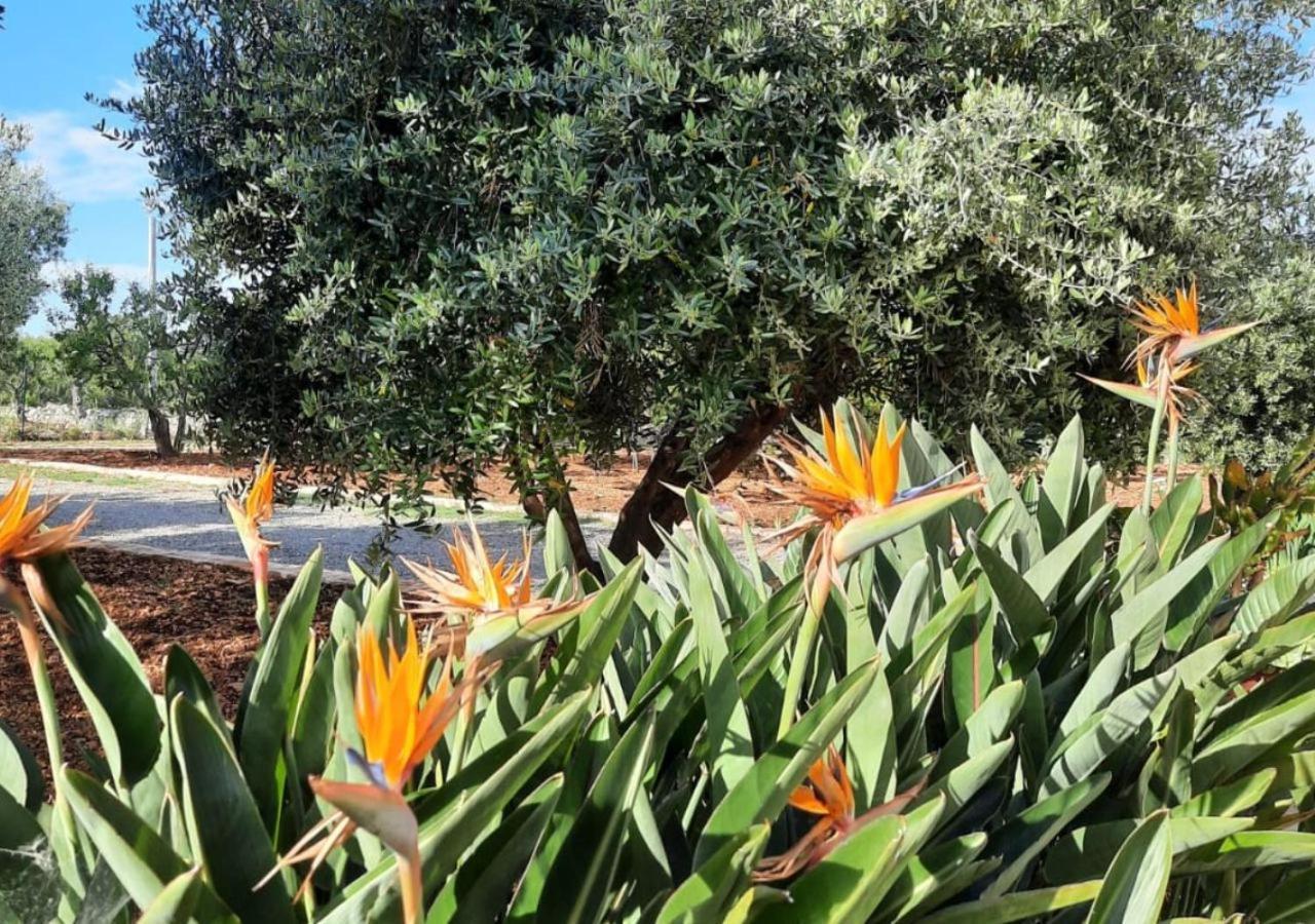 Masseria - Trulli Genius Loci Dimore Monopoli Kültér fotó